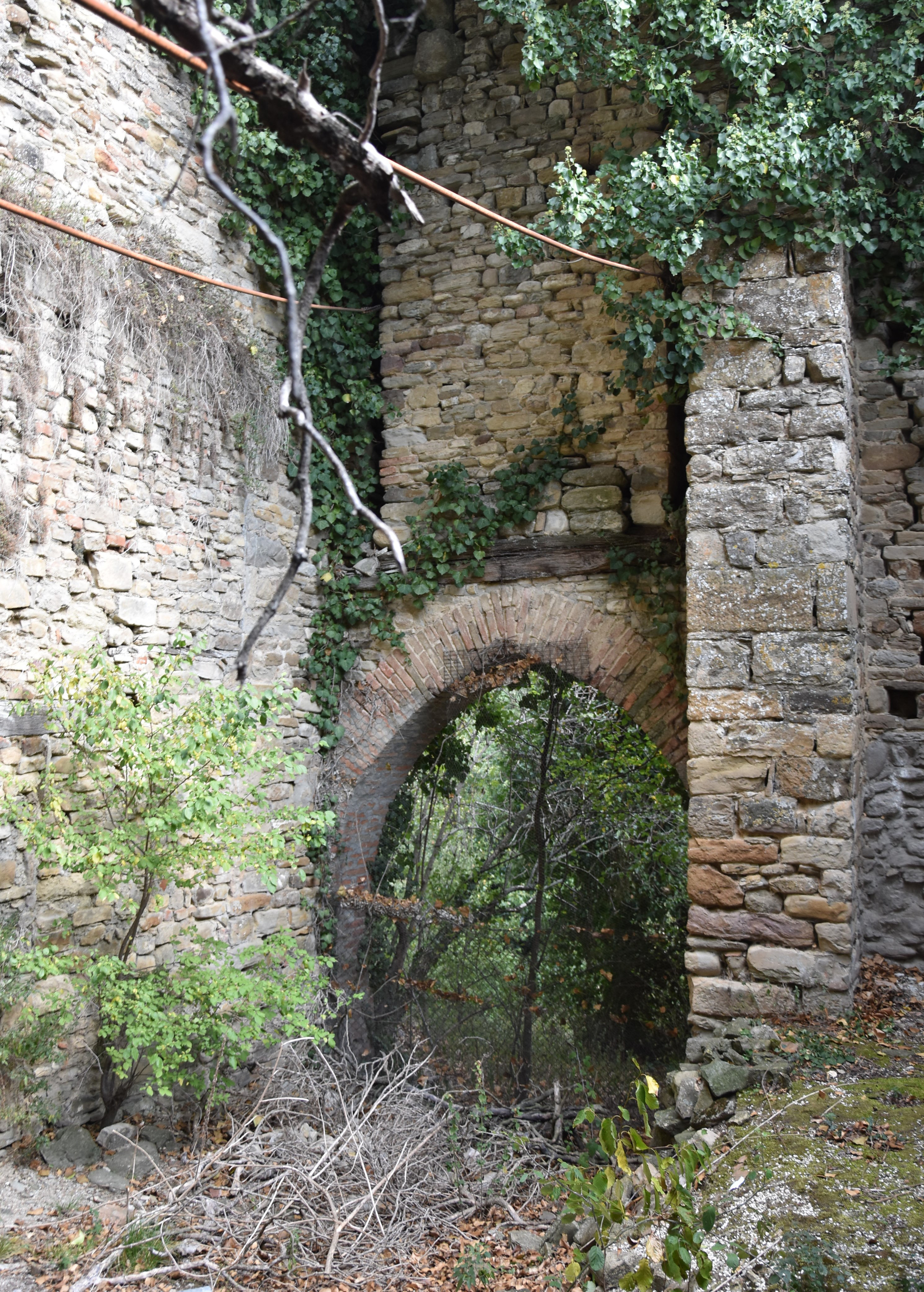 Castello di Mongiorgio (resti) (castello) - Monte San Pietro (BO) 