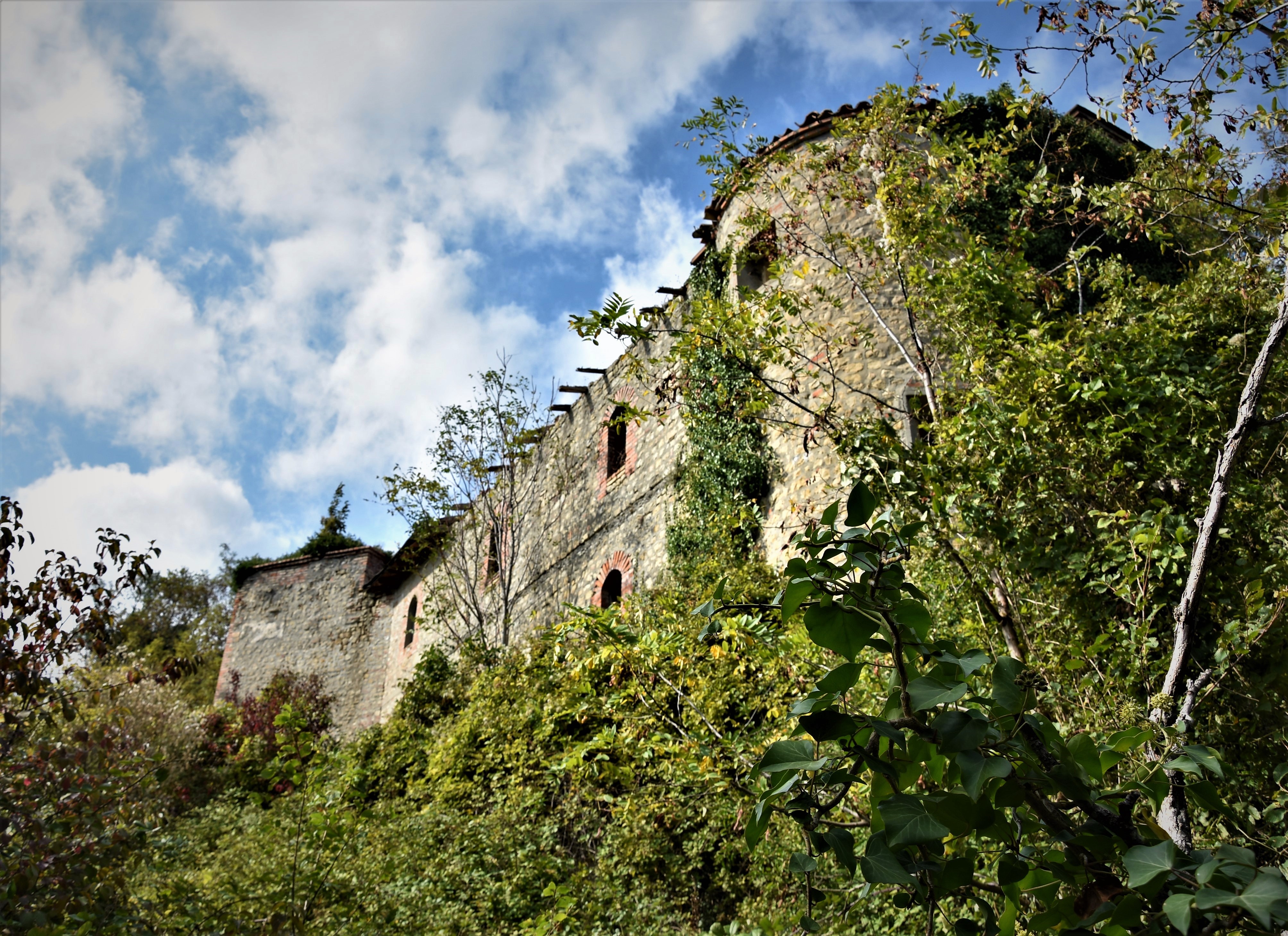 Castello di Frassineto (castello) - Castel San Pietro Terme (BO) 