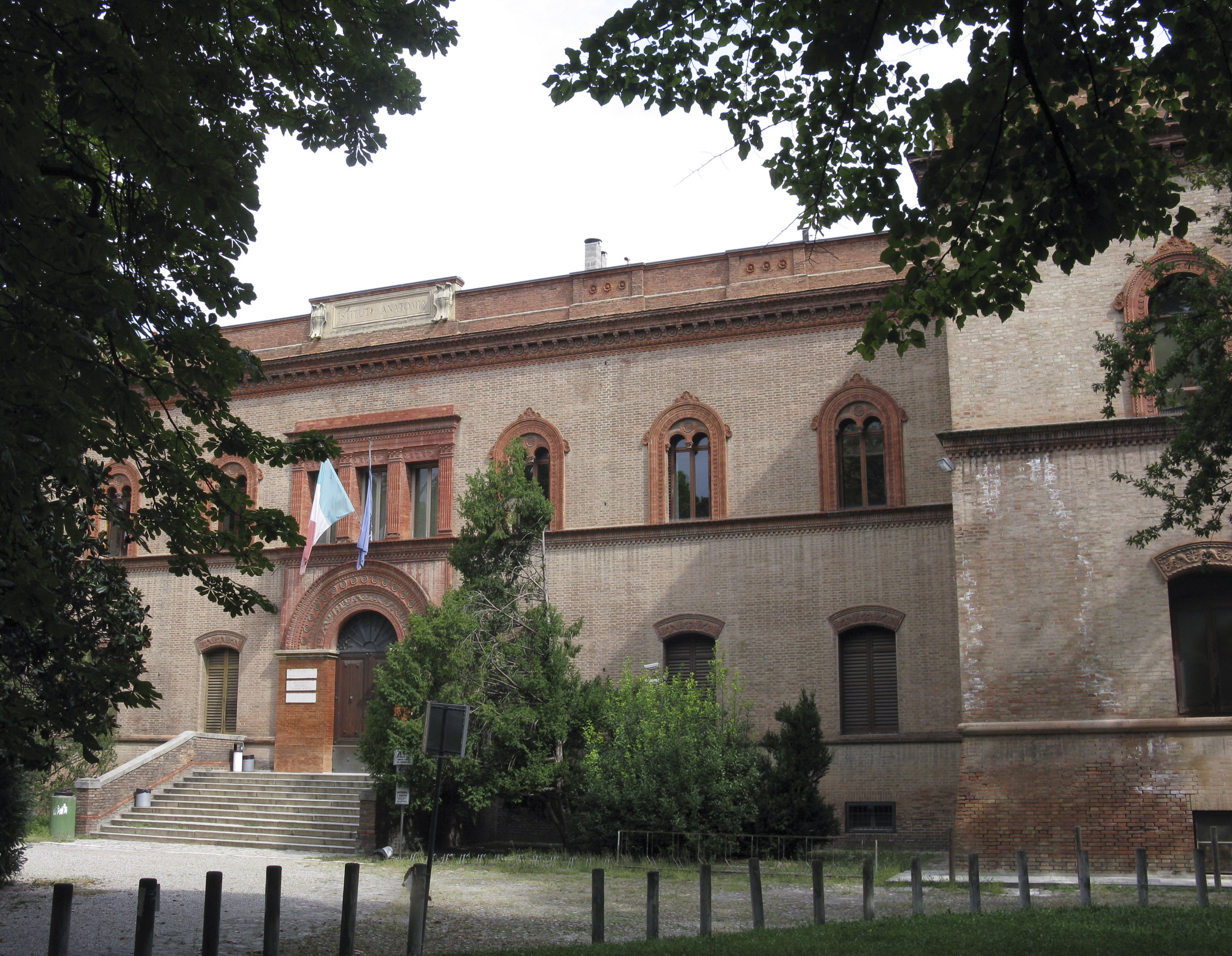 Istituto di Anatomia (palazzo, universitario) - Bologna (BO) 