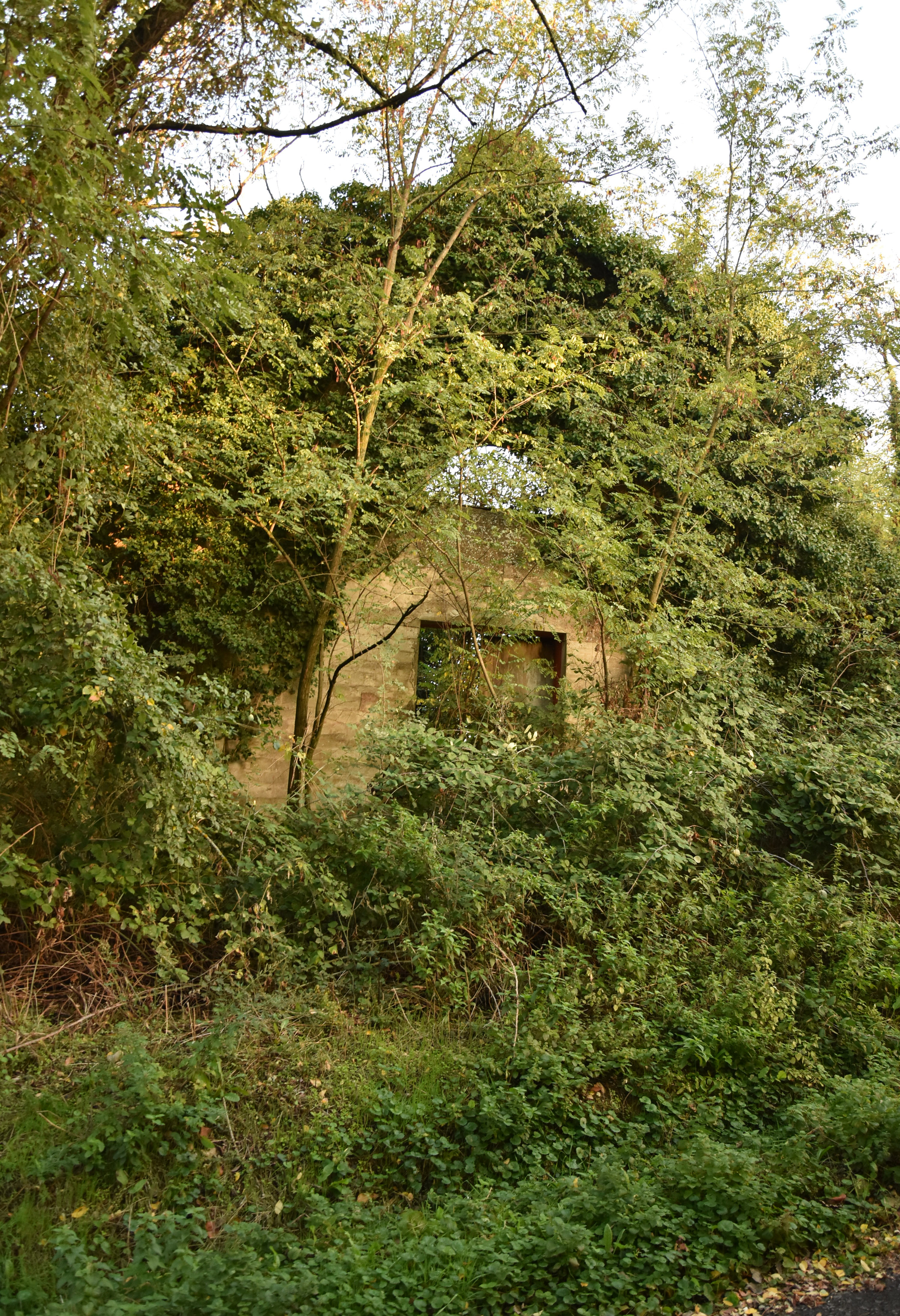 Chiesa di Santa Maria Assunta (chiesa) - Monte San Pietro (BO) 