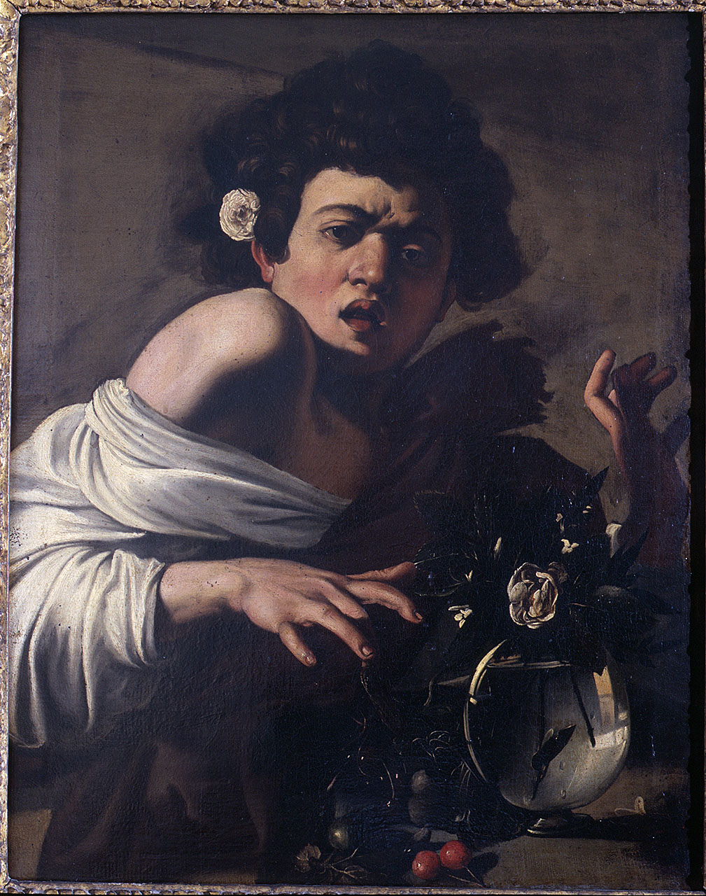 fanciullo morso da un ramarro (dipinto) di Merisi Michelangelo detto Caravaggio (fine sec. XVI)