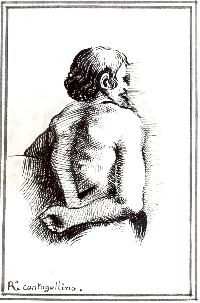 studio di nudo maschile di spalle a mezzo busto (disegno) di Cantagallina Remigio (attribuito) (prima metà sec. XVII)