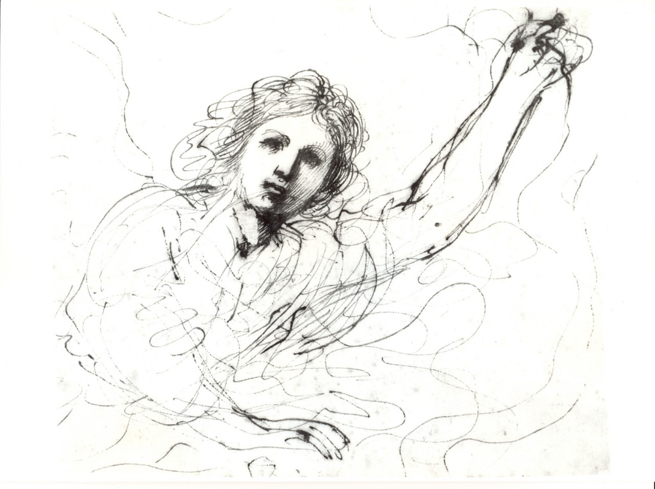 figura femminile alata a mezzo busto (disegno) di Barbieri Giovanni Francesco detto Guercino (sec. XVII)