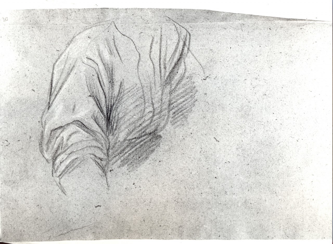 due studi di figura (recto); studio di un busto maschile in camicia (verso) (disegno) di Franceschini Baldassarre detto Volterrano (metà sec. XVII)