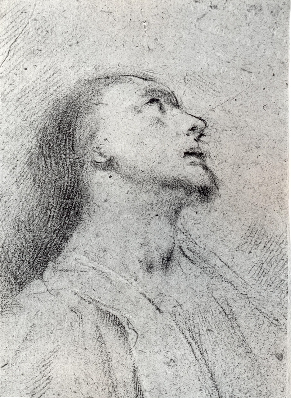 testa di profilo (disegno) di Tesi Mauro (attribuito) (metà sec. XVIII)