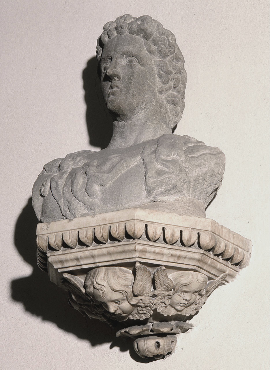 figura maschile (busto) di Bandinelli Bartolomeo detto Baccio Bandinelli (cerchia) (metà sec. XVI)