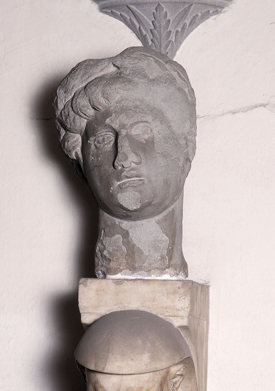 testa di giovane (scultura) di Bandinelli Bartolomeo detto Baccio Bandinelli (cerchia) (metà sec. XVI)