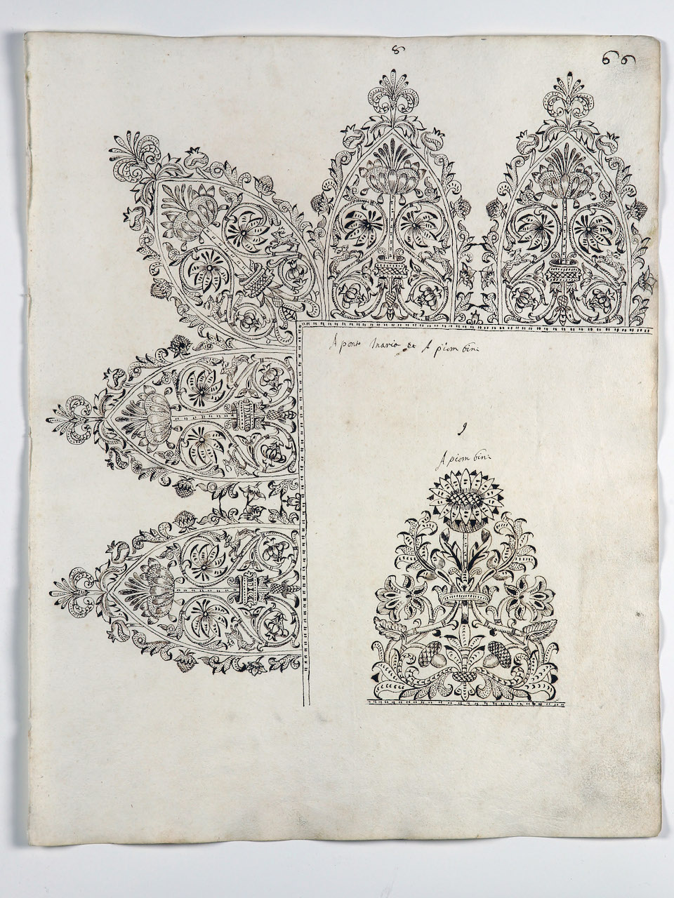 modelli per merletti (disegno) di Samarco Giovanni Alfonso (attribuito) (sec. XVII)