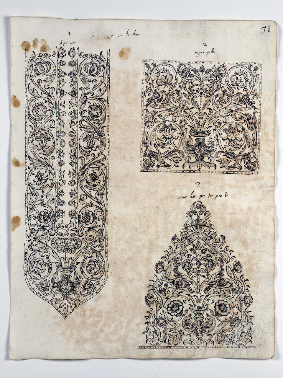 modelli per merletti (disegno) di Samarco Giovanni Alfonso (attribuito) (sec. XVII)