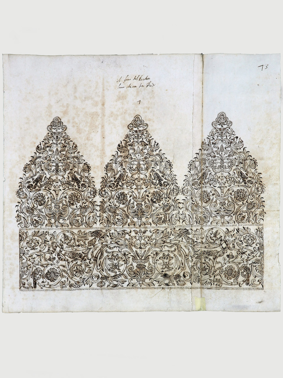 modello per merletto (disegno) di Samarco Giovanni Alfonso (attribuito) (sec. XVII)