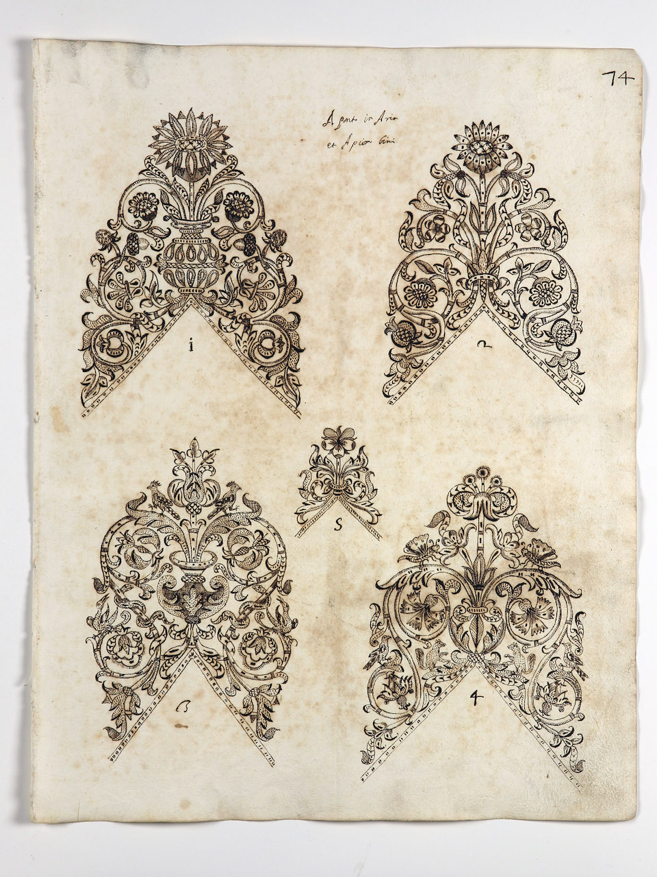 modelli per merletti (disegno) di Samarco Giovanni Alfonso (attribuito) (sec. XVII)