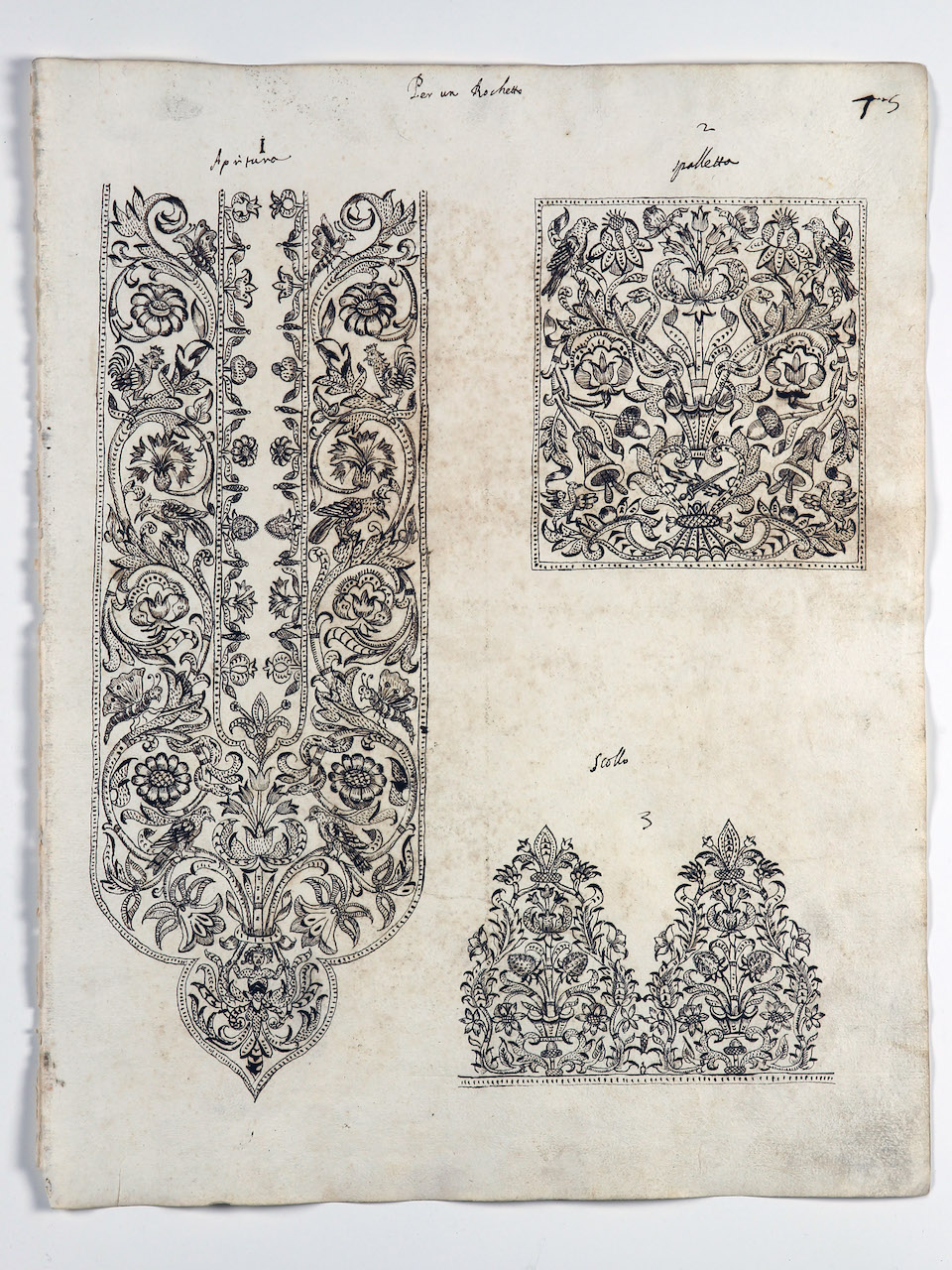 modelli per merletti (disegno) di Samarco Giovanni Alfonso (attribuito) (sec. XVII)