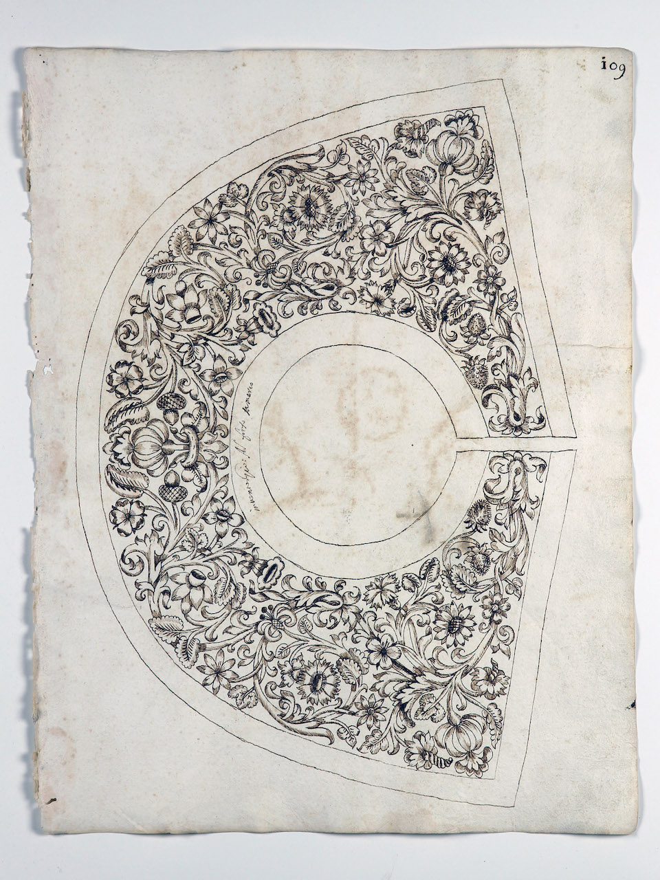 modello per merletto (disegno) di Samarco Giovanni Alfonso (sec. XVII)
