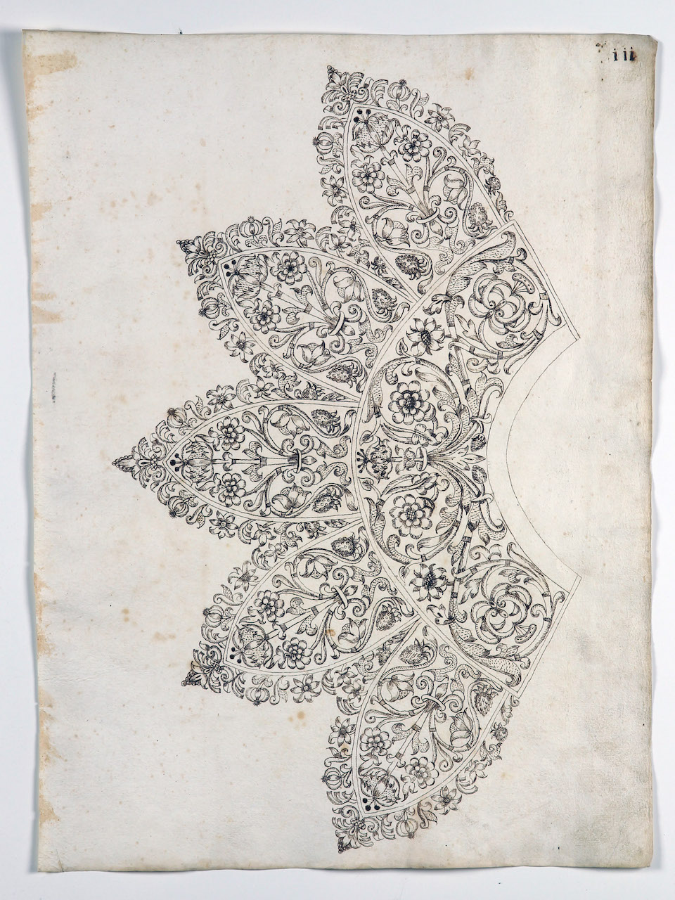 modello per merletto (disegno) di Samarco Giovanni Alfonso (attribuito) (sec. XVII)