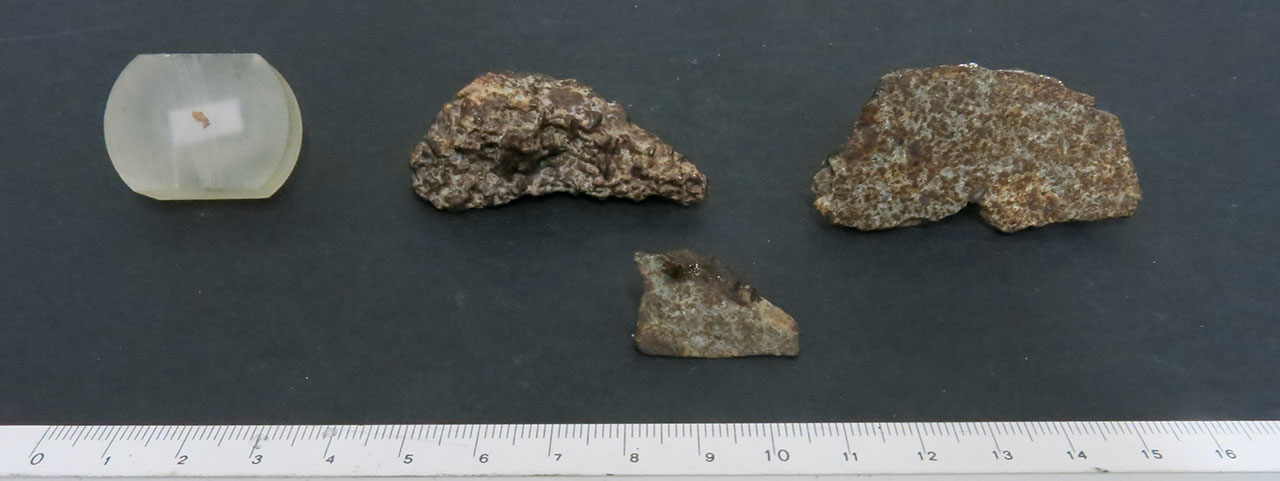 Northwest Africa 11501 Condrite Ordinaria (esemplari)