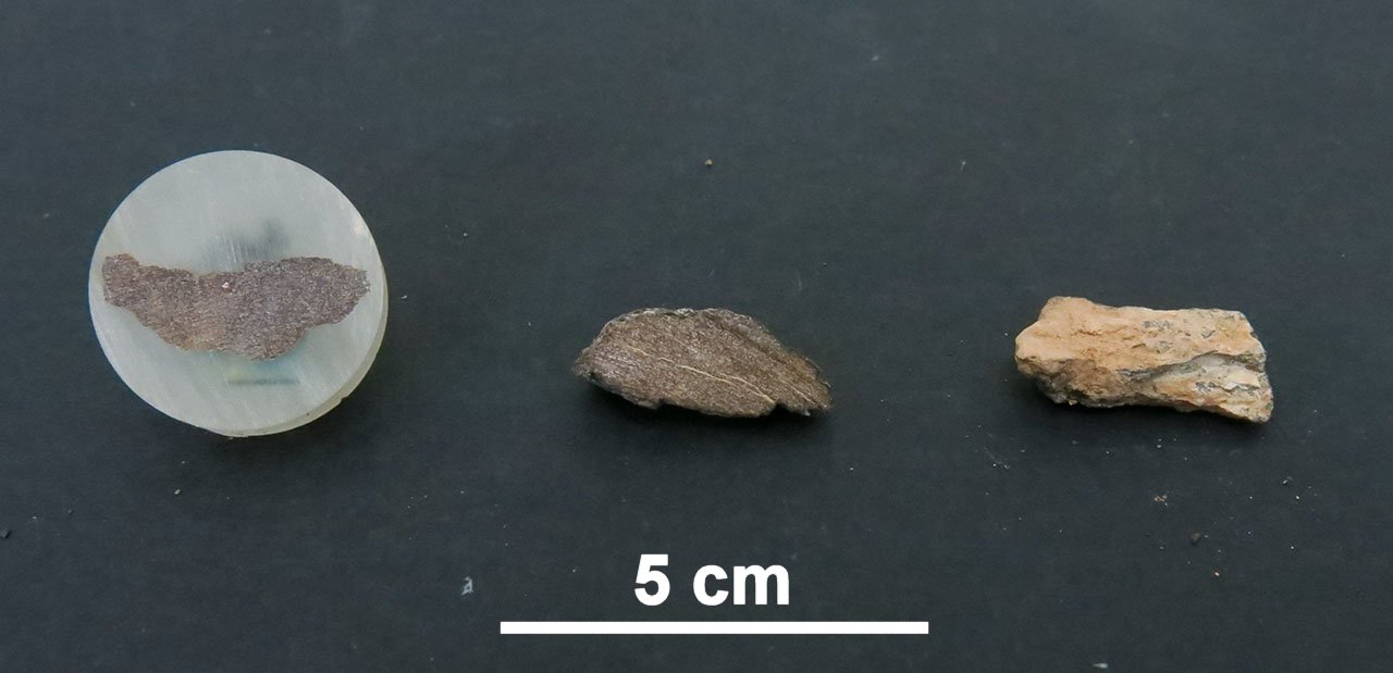 Northwest Africa 11414 Condrite Enstatitica (esemplari)