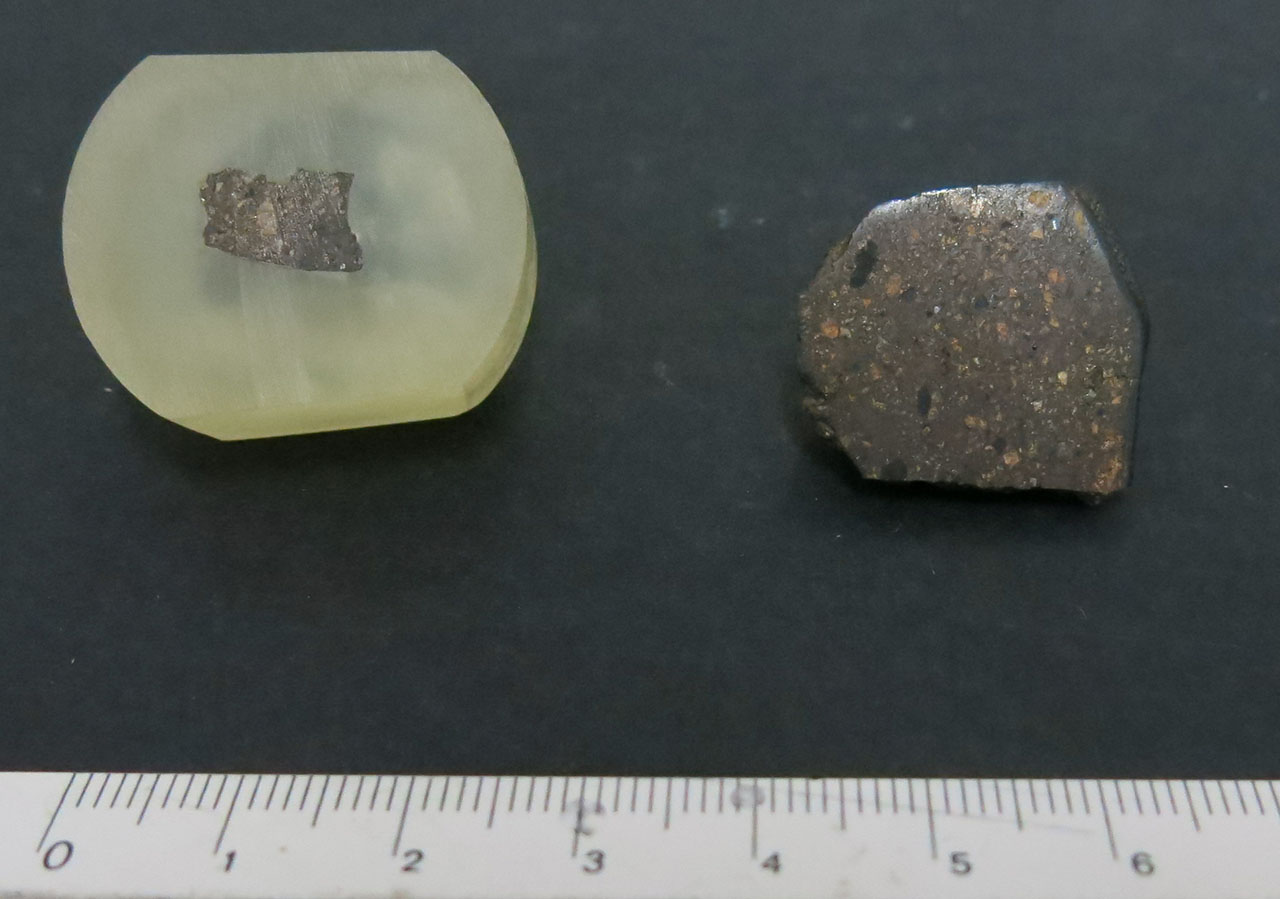 Northwest Africa 11483 Acondrite Urelite (esemplari)