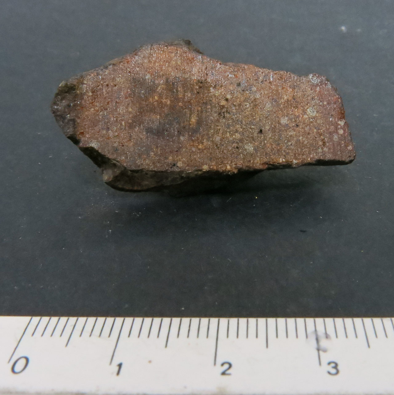 Northwest Africa 10737 Condrite Ordinaria (esemplare)