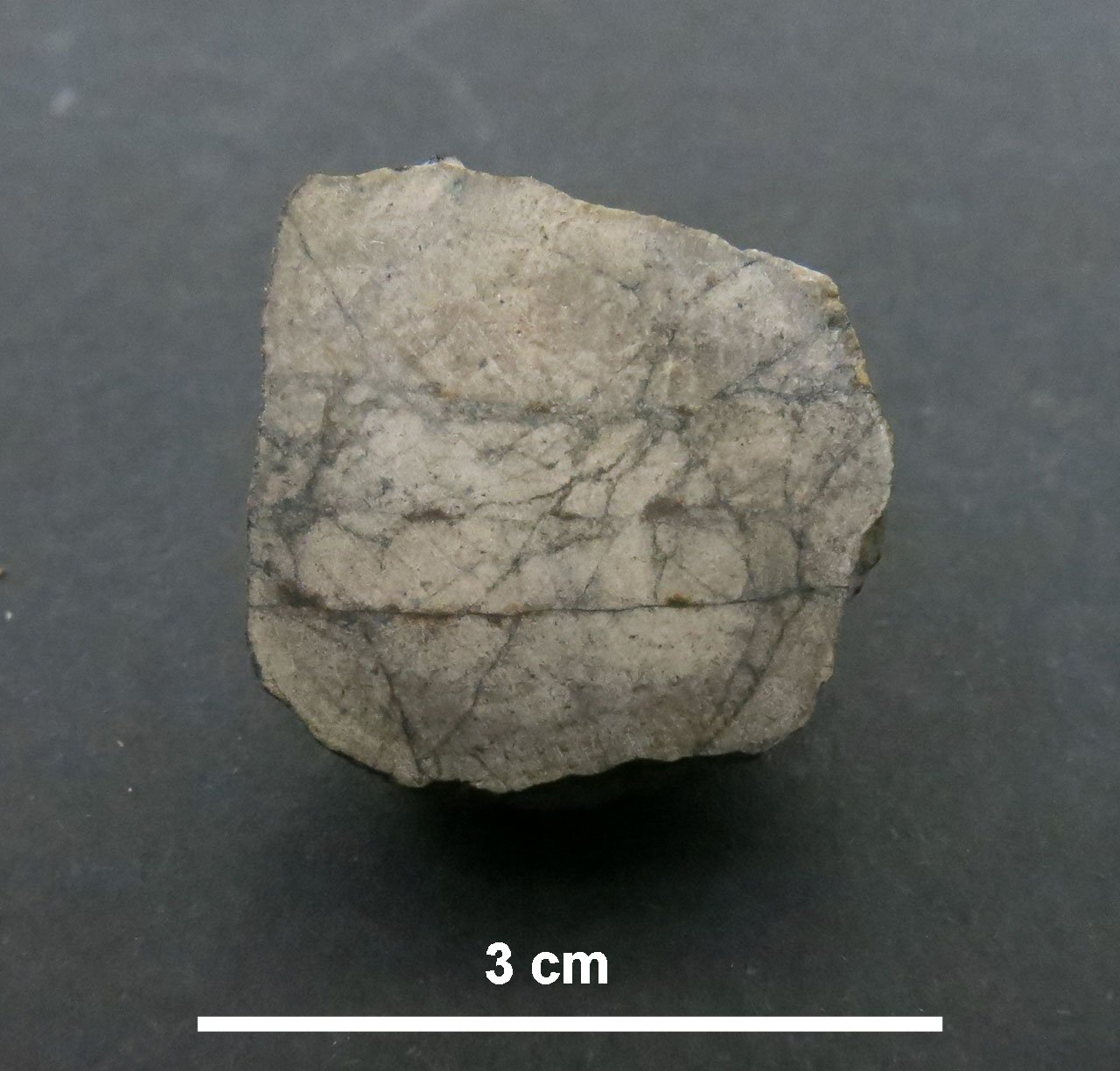 Northwest Africa 10424 Acondrite Eucrite Cumulitica (esemplare)