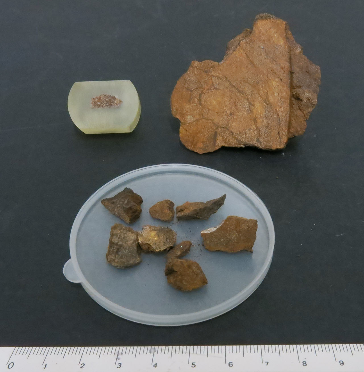 Northwest Africa 10773 Condrite Enstatitica (esemplari)