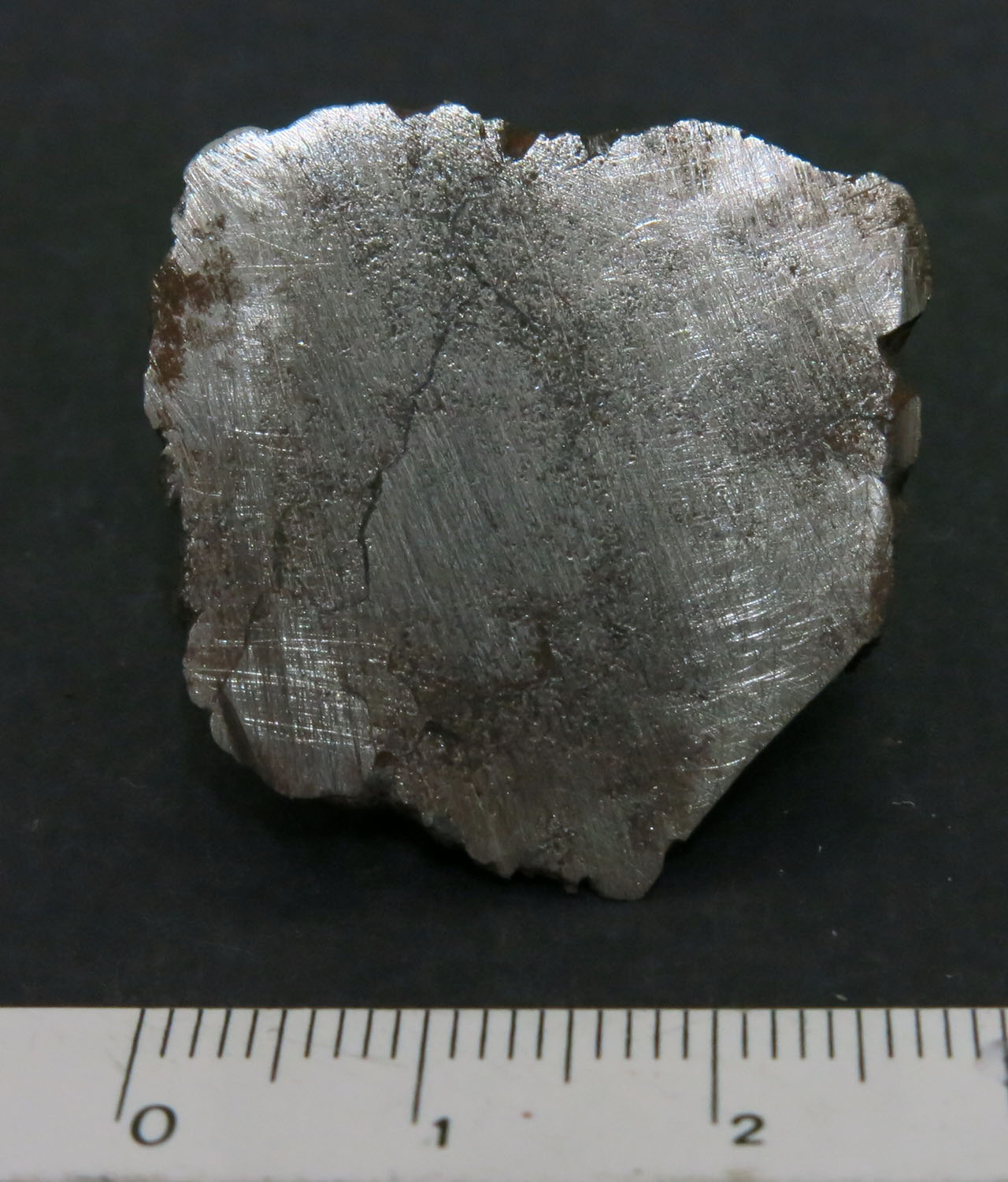 Entreves Metallica IAB-MG (esemplare)