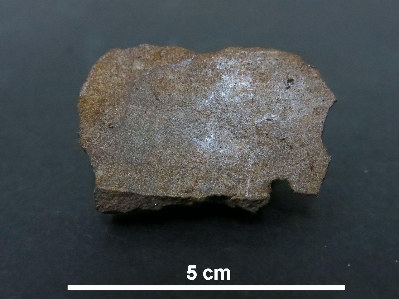 Northwest Africa 10035 Condrite Enstatitica (esemplare)