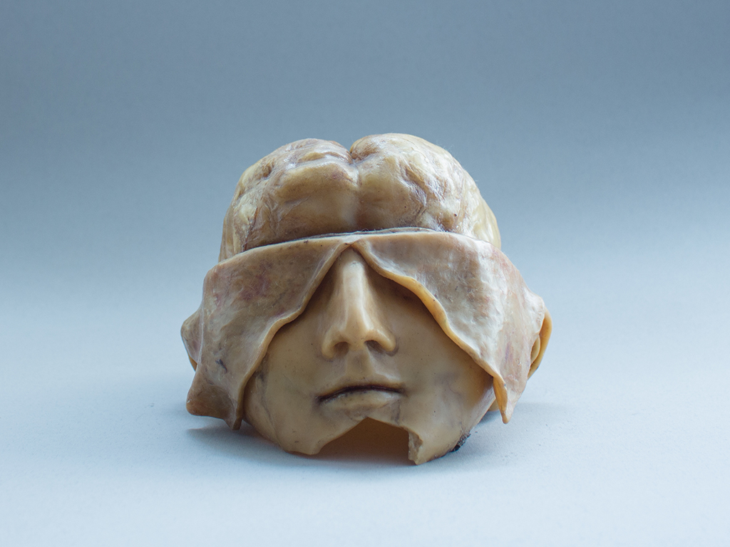 cera anatomica, cranio scalottato (fine/ inizio Sec. XVIII)