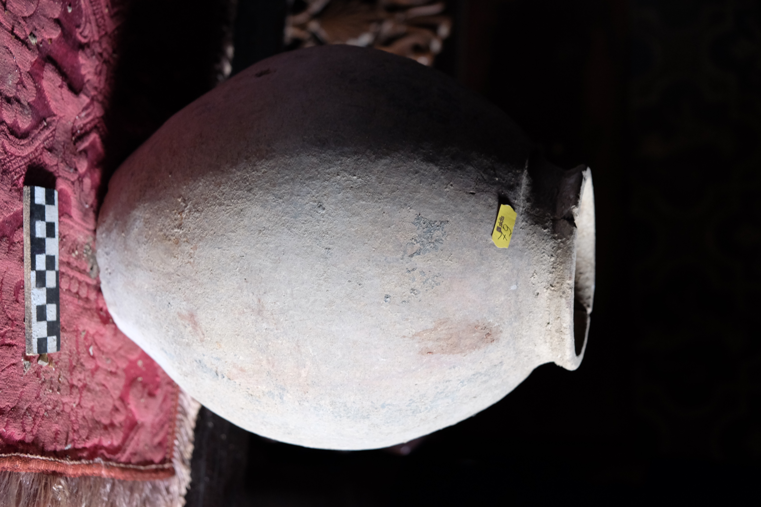 olla - Ambito culturale etrusco (SECOLI/ ARCHI DI SECOLI/ VII-VI a.C)