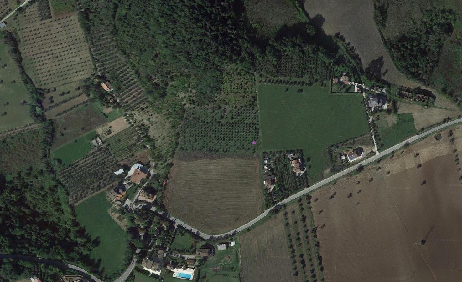 sito pluristratificato, area di materiale eterogeneo, strada - Folignano (AP)  (PERIODIZZAZIONI/ ARCHI DI PERIODI/ Età del Ferro, età romana)