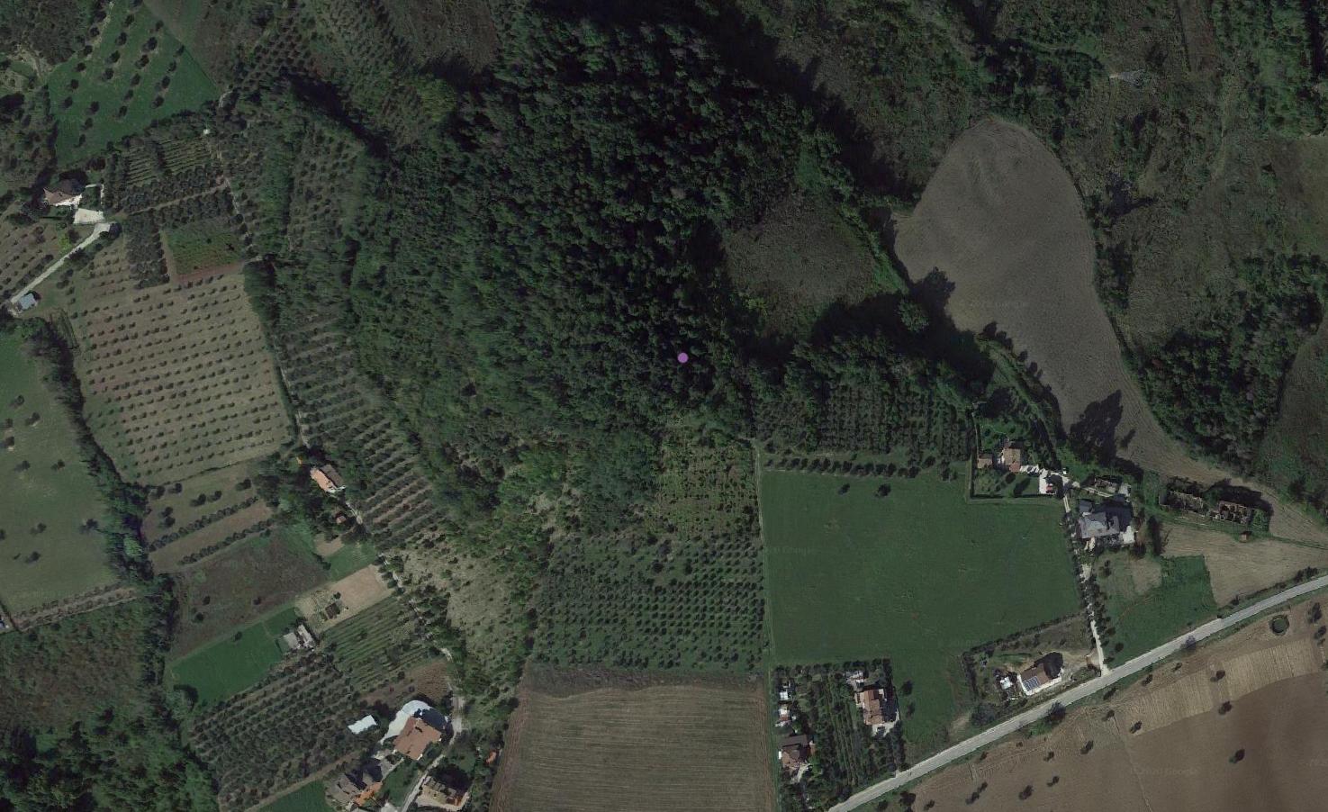 infrastruttura idrica, cisterna - Folignano (AP)  (PERIODIZZAZIONI/ Storia/ Eta' antica/ Eta' romana)