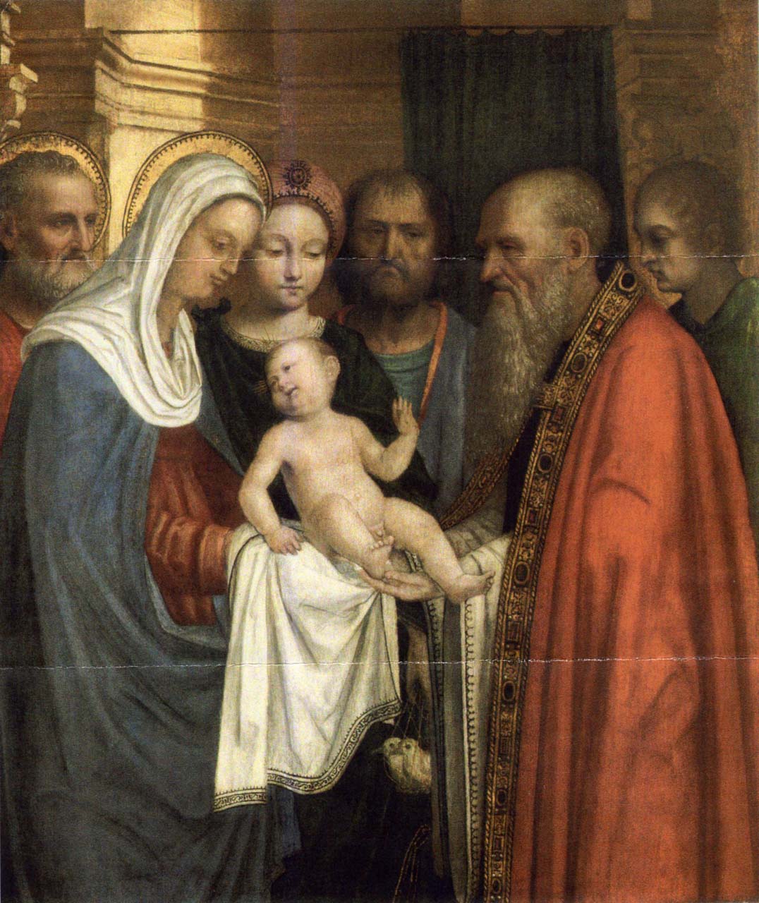 Presentazione di Gesu' al tempio (dipinto) di Ambrogio da Fossano detto il Bergognone, Giovanni Agostino da Lodi (primo quarto sec. XVI)