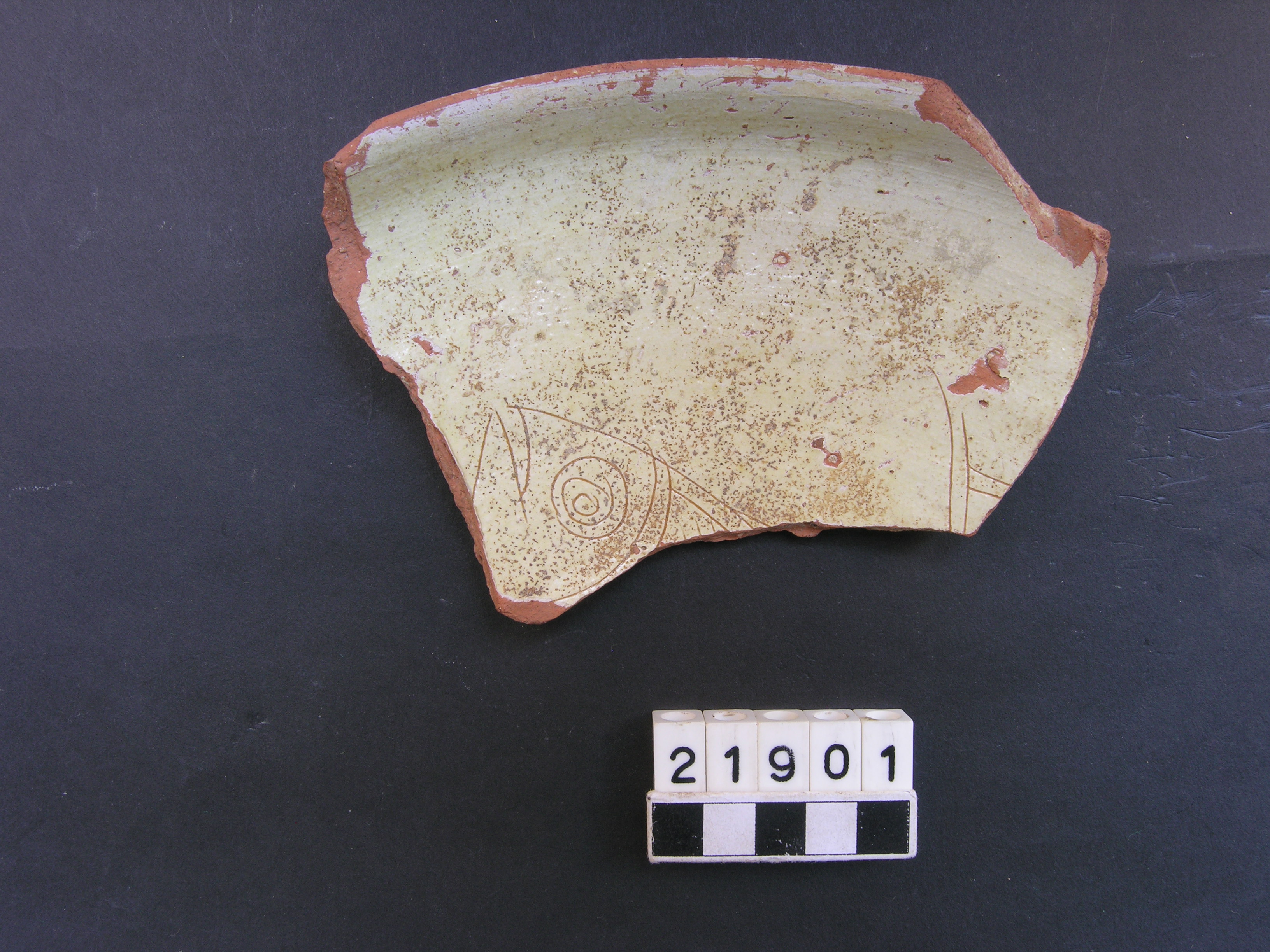 ciotola - Produzione bizantina Incised Sgraffito-Free Style (PERIODIZZAZIONI/ Basso Medioevo)