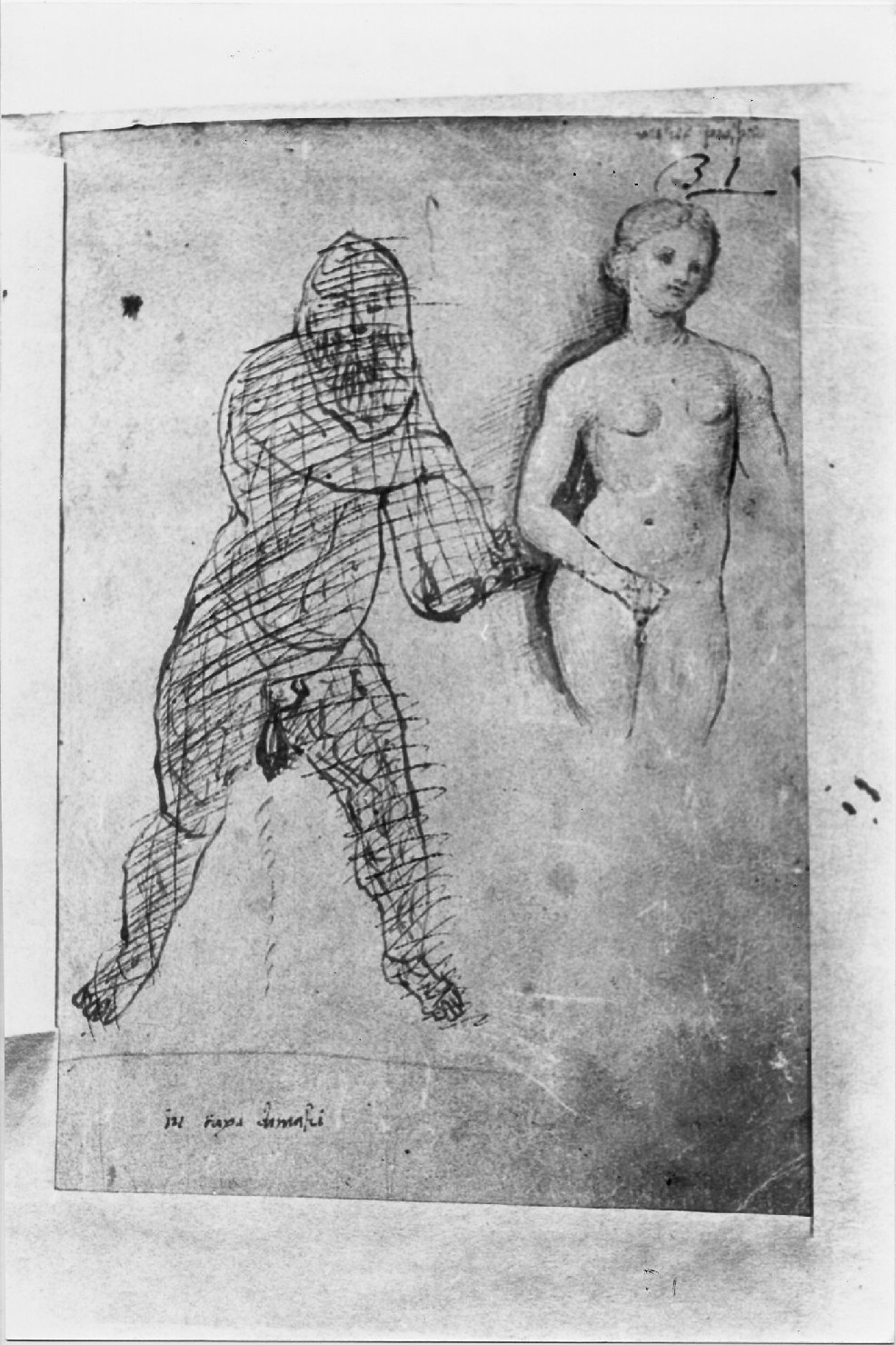 Venere (disegno, serie) di Costa Lorenzo (bottega) (inizio sec. XVI)