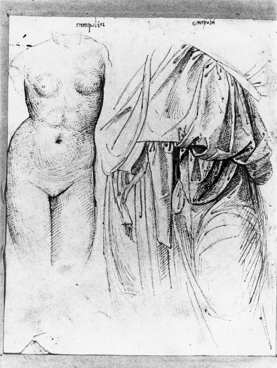 disegno, serie di Costa Lorenzo (bottega) (inizio sec. XVI)