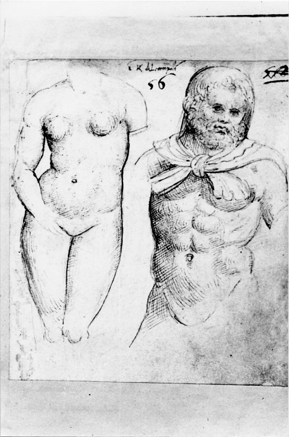 Ercole (disegno, serie) di Costa Lorenzo (bottega) (inizio sec. XVI)