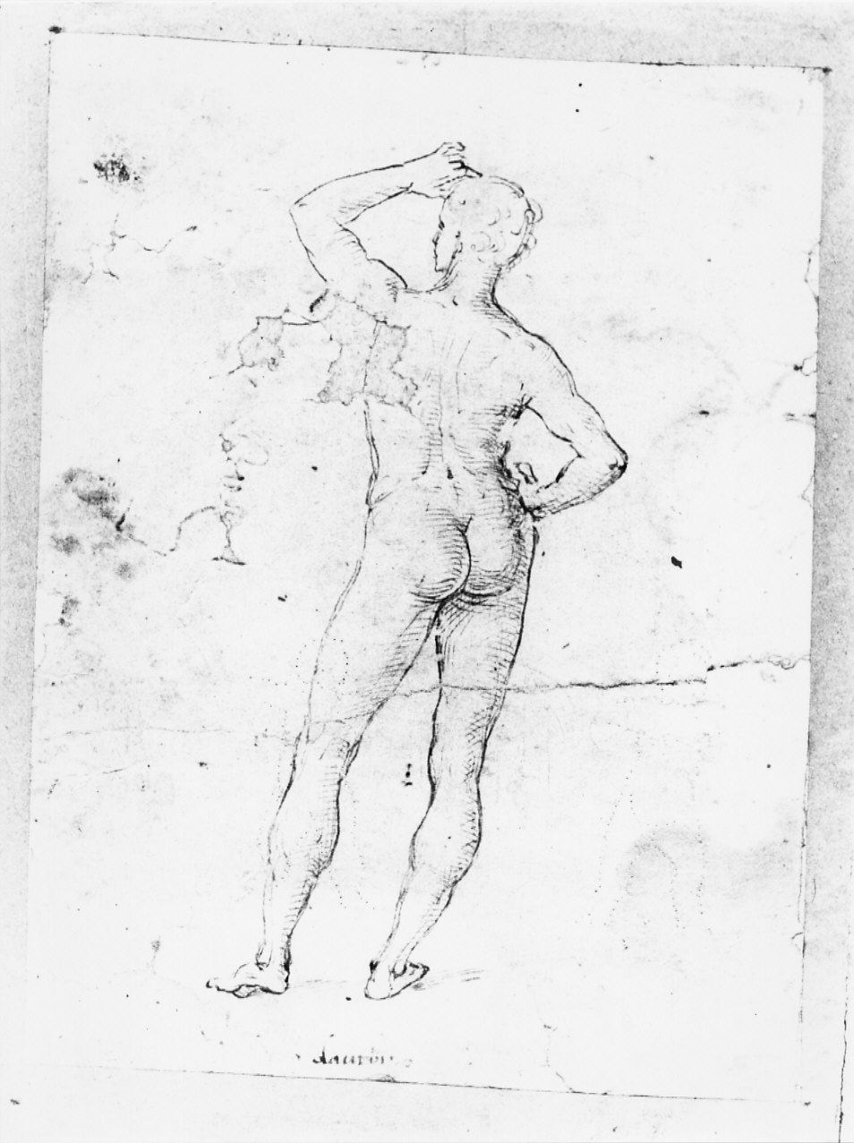 disegno, serie di Costa Lorenzo (bottega) (inizio sec. XVI)