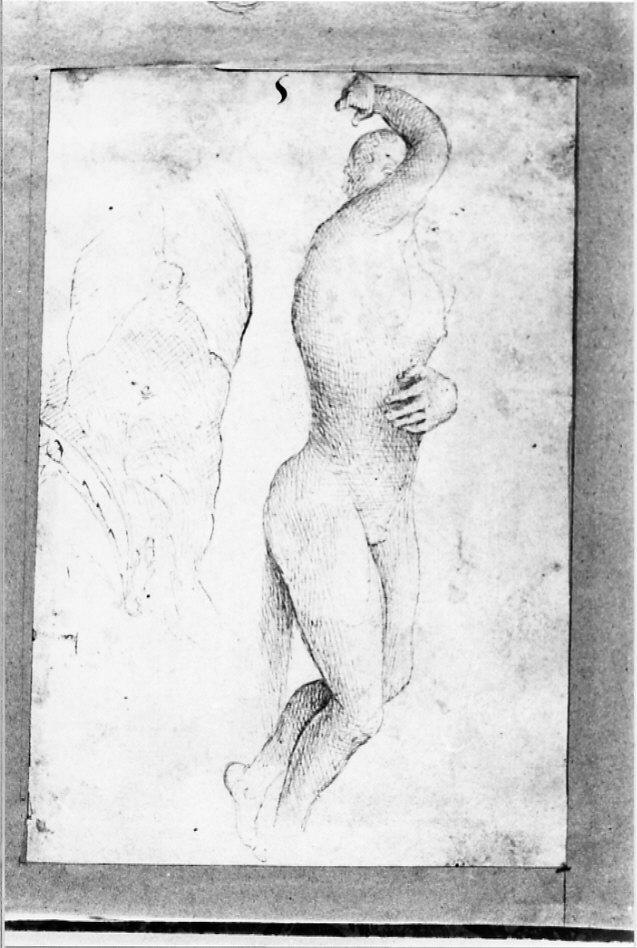 disegno, serie di Costa Lorenzo (bottega) (inizio sec. XVI)