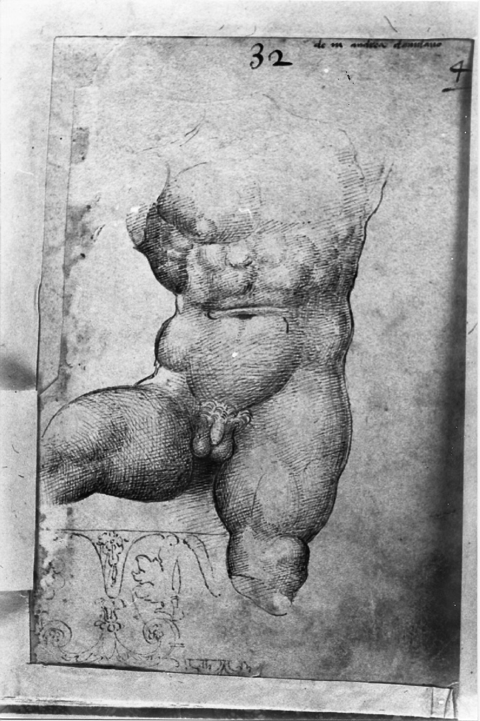 disegno, serie di Costa Lorenzo (bottega) (inizio sec. XVI)