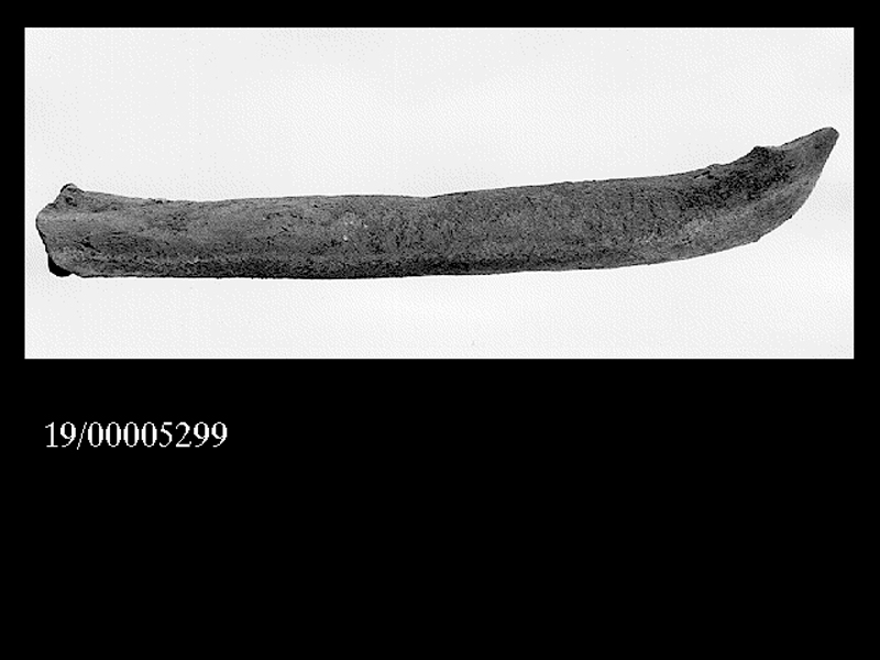 anfora/ ansa (SECOLI/ III a.C)