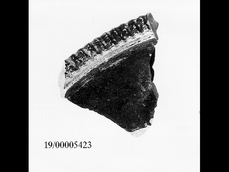 coppetta (SECOLI/ III a.C)