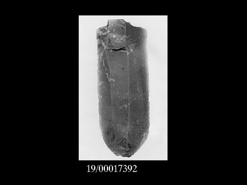 lama (SECOLI/ Inizi dell'età del bronzo)