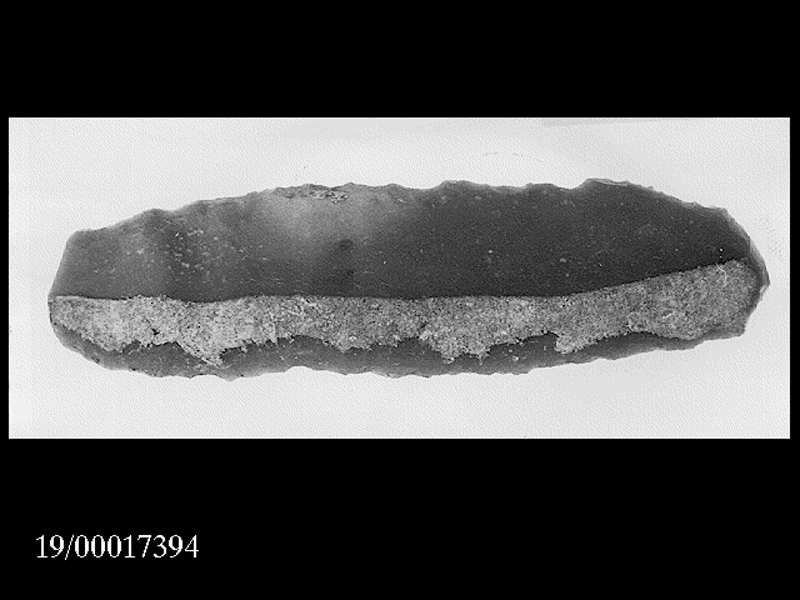 lama (SECOLI/ Inizi dell'età del bronzo)