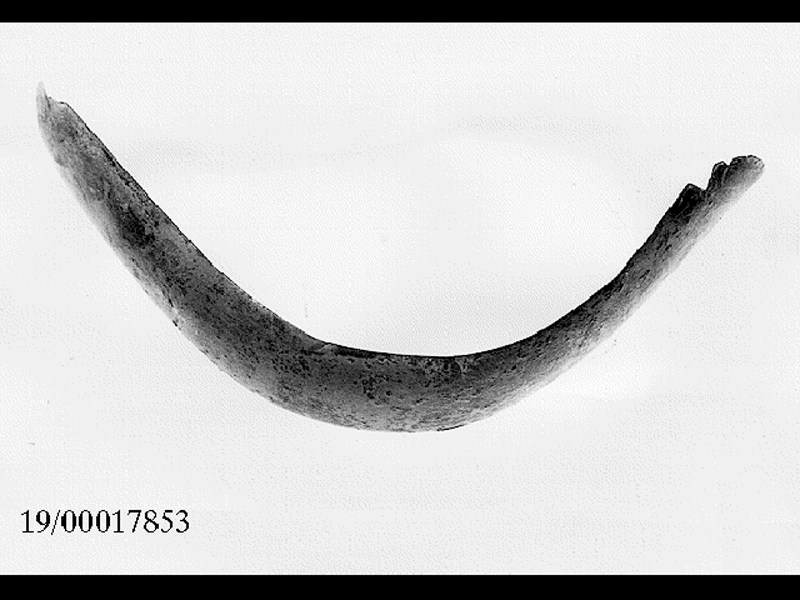 strigile (SECOLI/ V a.C)