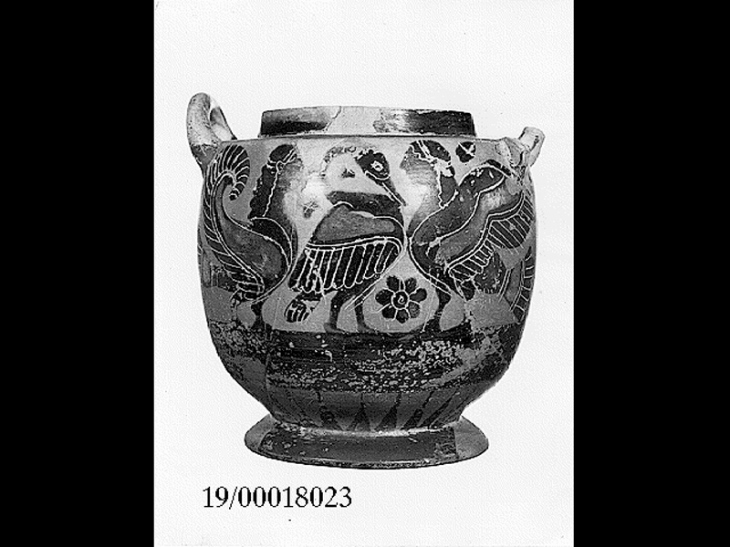 pisside stamnoide (seconda metà SECOLI/ VI a.C)