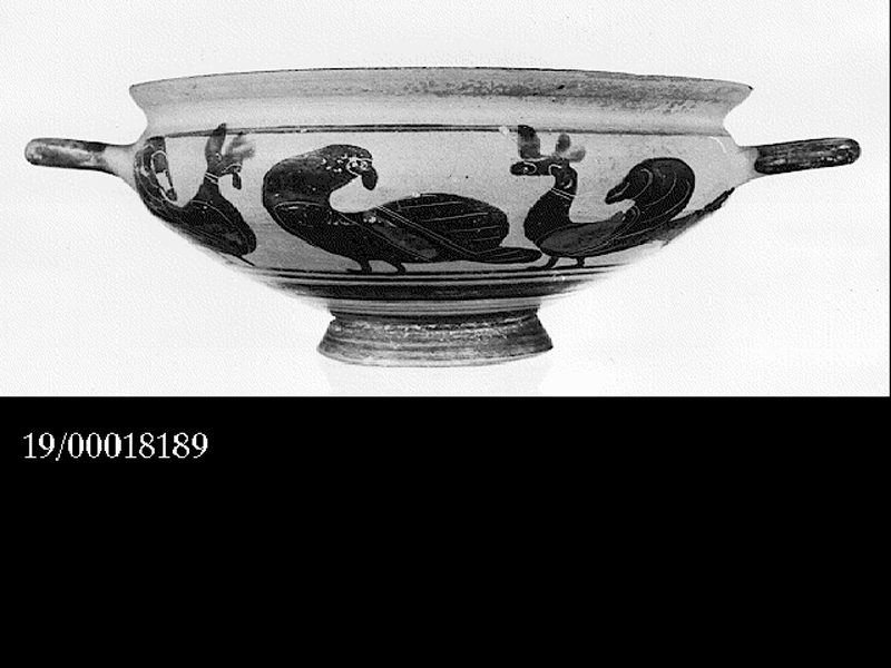 kylix di Vogelfriesmaler (metà SECOLI/ VI a.C)