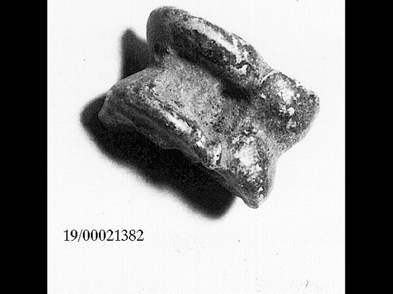 astragalo (non determinabile)