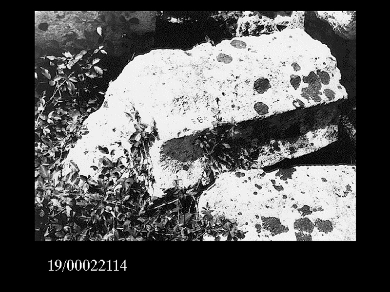 fusto di colonna (non determinabile)