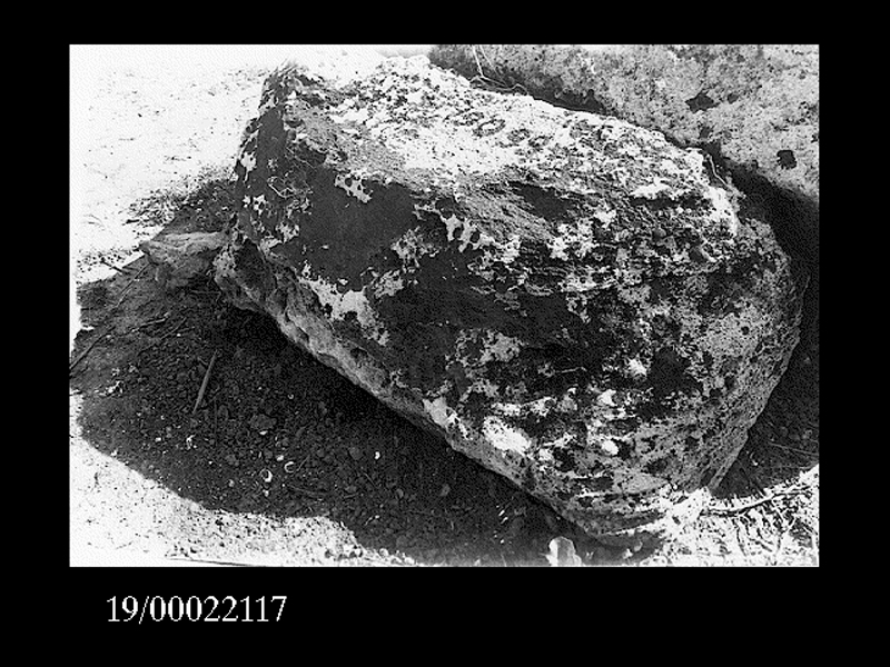 capitello dorico (non determinabile)