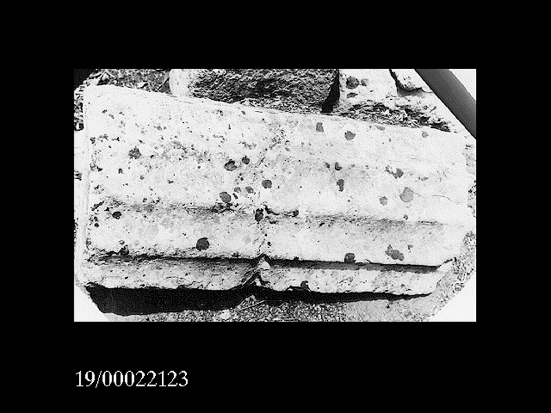 fusto di colonna (non determinabile)