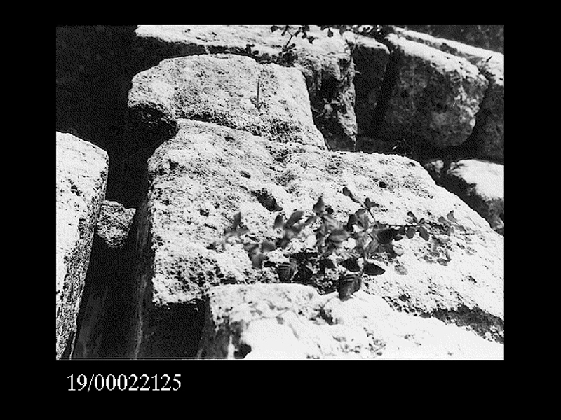 blocco di metopa (non determinabile)